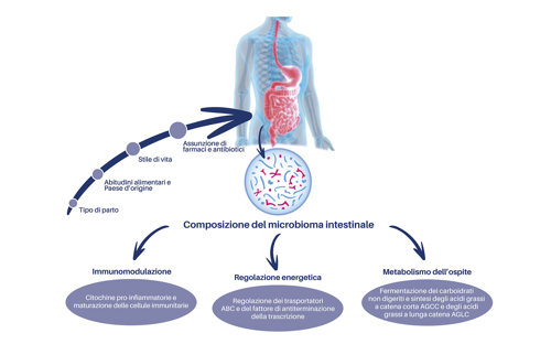 Integrative Medizin IT
