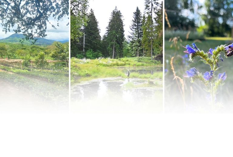 Our Projects - Sonic Suisse